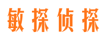 武进市侦探调查公司